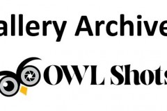 OWLShots-Gallery-Archived